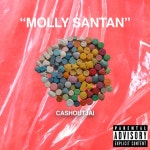 Molly Santan - Single by CashOutJai | Spotify