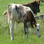 Guests And Androids - song and lyrics by Brittany Zehr | Spotify Guests And Androids