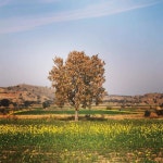 Mulroy - Single by Springwater | Spotify Mulroy