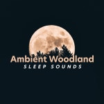 ! ! ! ! ! ! Ambient Woodland Sleep Sounds ! ! ! ! ! ! - Album by Singing Birds, Ambient Forest, The Sleep Specialist | Spotify...