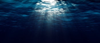 Harrisburg(The Abbey Bar at ABC)에서 열리는 The Depth Beneath Us 공연 티켓 | Spotify