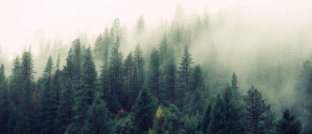 Göteborg(Villa Belparc)에서 열리는 Lisa Miskovsky 공연 티켓 | Spotify