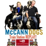 McCann Dog Training - Train Station Replay | Podcast on Spotify McCann Dog Training - Train Station Replay