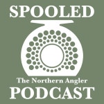 Episode #30 - Cicadapocalypse - Spooled | Podcast on Spotify Episode #30 - Cicadapocalypse