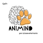 Animind | Podcast on Spotify Animind
