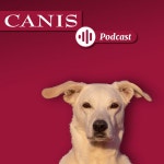 Der CANIS-Podcast – Hundeexpert:innen ausgefragt | Podcast on Spotify Der CANIS-Podcast – Hundeexpert:innen ausgefragt