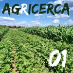 01 - Pesticidi e consociazioni con Paola Cassiano - agRicerca | Podcast on Spotify 01 - Pesticidi e consociazioni con Paola Cassiano