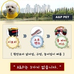 LATELY(레이틀리) [레이틀리] [A&P PET(에이앤드피 펫)] 댕댕이 상큼톡톡 원색 맨투맨