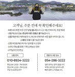 LATELY(레이틀리) [레이틀리] 해수수산 반건조 오징어 10미 700g