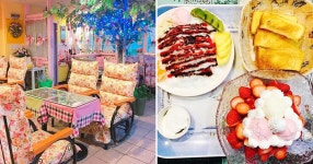 투디갤 - 민들레영토가 나왔으면 이것도 나와야지