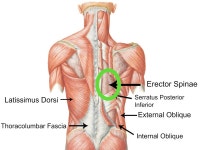 javascript - The ergonomics of programming languages: back pains after coding in JS - Stack Overflow The ergonomics of... 