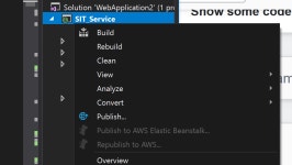 c# - Deploy to Elastic Beanstalk disabled in Visual Studio - Stack Overflow Deploy to Elastic Beanstalk disabled in Visual Studio