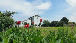 플로라 펜션의 Q&A | 트래블노트