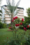 Elysee Garden Family Hotel | Qantas Hotels Elysee Garden Family Hotel