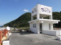 조이풀 칭구시 검색결과 조이풀 칭구시