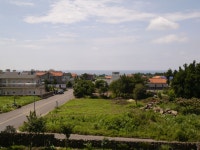 이공일삼민박 검색결과 이공일삼민박