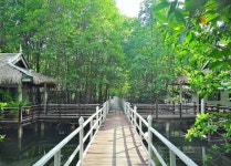 Mangrove Sanctuary Resort | Qantas Hotels Mangrove Sanctuary Resort