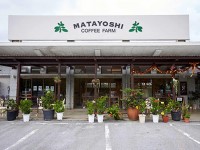 마타요시 커피 팜, MATAYOSHI COFFEE FARM – 일본호텔예약은 트래블노트