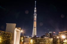 플레이시스 이스트 도쿄