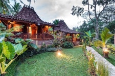 비 발리 헛 팜 스테이 - Be Bali Hut Farm Stay - 티라트래블 - 최저가 호텔 예약