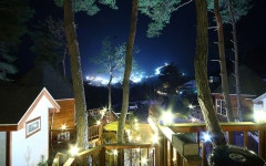 강원 Loverstar In Forest Pension | 2026년 최신 가격 & 프로모션 - 클룩 Klook 대한민국