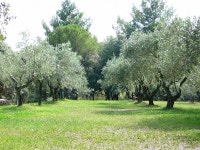 Antique Holiday Home in Lisle-sur-la-sorgue With Pool | Qantas Hotels Antique Holiday Home in Lisle-sur-la-sorgue With Pool