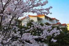 Janggun Pension | Qantas Hotels Janggun Pension