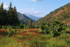 파스토랄 바디 :: 600개 도시 현지 친구와 진짜 여행을 파스토랄 바디