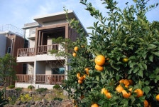 제주에코 스위츠의 Q&A | 트래블노트