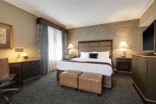 화이트홀 호텔 검색결과 화이트홀 호텔