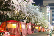 롯데 호텔 부산 검색결과 롯데 호텔 부산