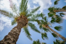 아이아 나파 Nissi Beach Resort | 2025년 최신 가격 & 프로모션 - 클룩 Klook 대한민국