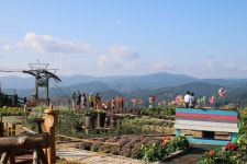 웰리힐리 파크 검색결과 웰리힐리 파크