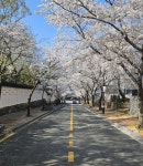 경주 H Avenue 호텔 불국사점 검색결과 경주 H Avenue 호텔 불국사점