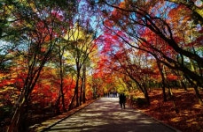 경주 H Avenue 호텔 불국사점 검색결과 경주 H Avenue 호텔 불국사점