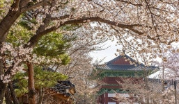 경주 H Avenue 호텔 불국사점 검색결과 경주 H Avenue 호텔 불국사점