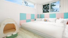 경기도 포천 럭스제이 애견 펜션 | 2025년 최신 가격 & 프로모션 - 클룩 Klook 대한민국