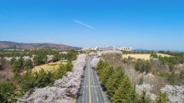 켄싱턴리조트 경주보문 검색결과 켄싱턴리조트 경주보문