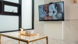 경주 퍼스펫 애견펜션 - 트리플 숙소