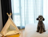 호텔 페이토 강남 검색결과 호텔 페이토 강남