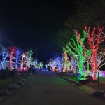 켄싱턴 리조트 지리산 남원 검색결과 켄싱턴 리조트 지리산 남원