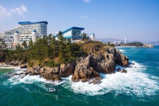 쏠비치 호텔 & 리조트 삼척 검색결과 쏠비치 호텔 & 리조트 삼척