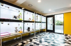 ザペットル(ペット専用ホテル)（釜山>海雲台）｜韓国ホテル予約「コネスト」 ザペットル(ペット専用ホテル)（釜山>海雲台）