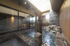 도미 인 프리미엄 칸다 검색결과 도미 인 프리미엄 칸다