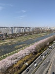 골드리버호텔 검색결과 골드리버호텔