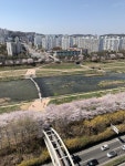 골드리버호텔 검색결과 골드리버호텔