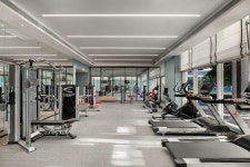 인터네셔널 씨사이드 검색결과 인터네셔널 씨사이드