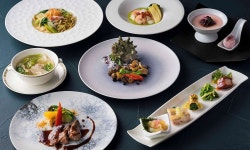 힐튼 후쿠오카 씨 호크 검색결과 힐튼 후쿠오카 씨 호크