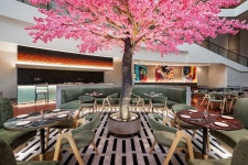 엠 소셜 호텔 푸켓 검색결과 엠 소셜 호텔 푸켓