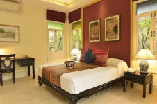 래빗 리조트 검색결과 래빗 리조트